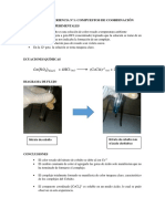 EXPERIENCIA N1 coord.docx