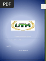 Ensayo Individual III Parcial Informatica