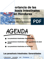 Importancia de las parasitosis intestinales en Honduras (concurso).pptx