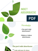 Indet Absorbuese