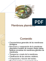 Membrana Plasmatica