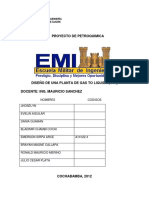 Caratula Proyecto Petroquimica