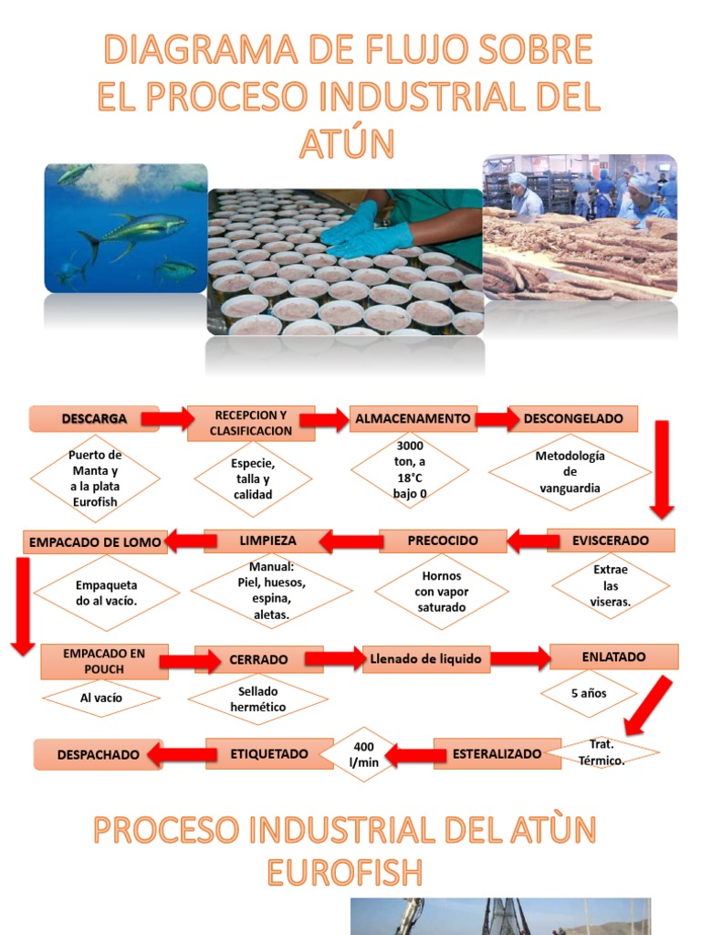 Proceso Industrial del Atún en Eurofish | PDF | Alimentos | Naturaleza