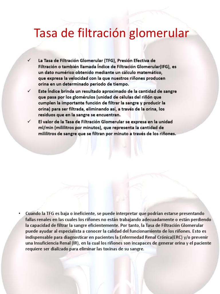 Tasa de Filtración Glomerular PDF Función renal Riñón