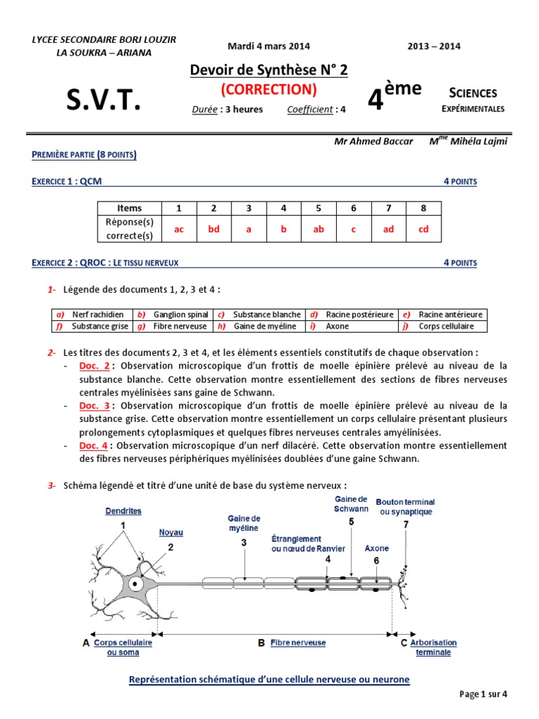 Comment Reprendre Schéma De Désensibilisation Si Arrêt Momentané Annal Combine SVT | PDF | Nerf | Acétylcholine
