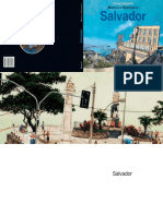 Cidades Ilustradas - Salvador PDF