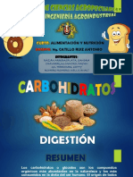 Carbohidratos-Digestión