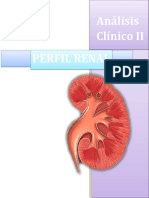 RENAL 1 DISERTACION-1.docx