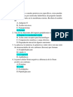 Existen Poros o Canales Proteicos No Específicos