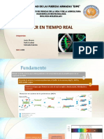 PCR Tiempo Real 