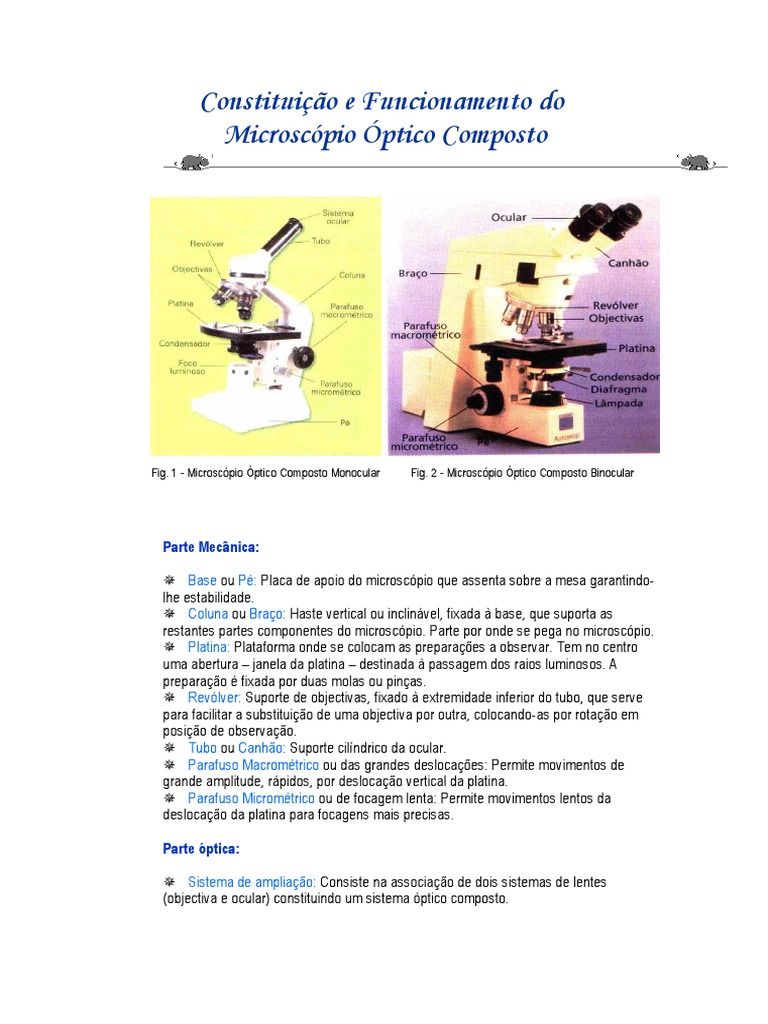 Microscópio Óptico: Constituição, Funcionamento e Utilização | PDF ...