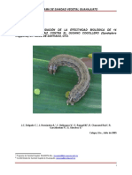 InformefinalEEB - Spodoptera Frugiperda