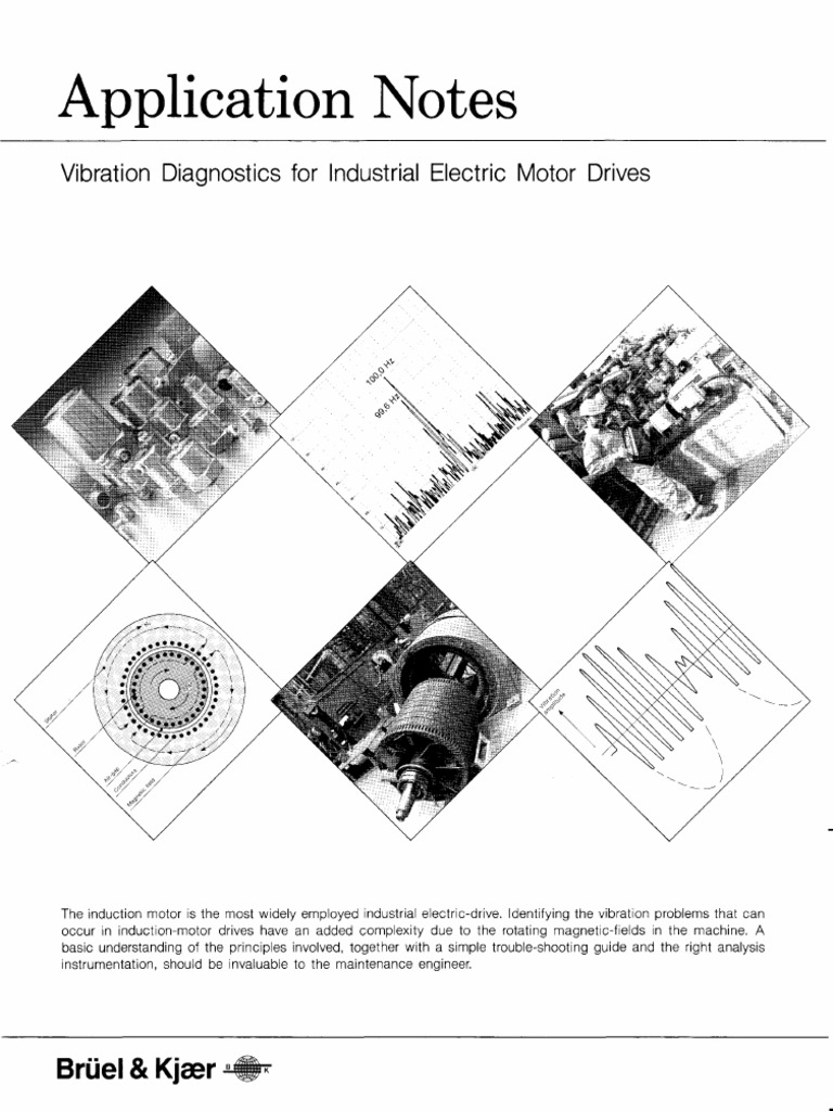 Vibration Diagnostics For Industrial Electric Motor Drives: Application ...