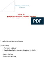 17 11 39 28C10 SSD Sistemul Fluviatil Si Conuri Aluviale PDF