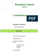 Bioquímica Vegetal - Carboidratos