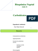 Aula 9 Carboidratos