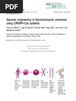 Seminário Simone Fanan
