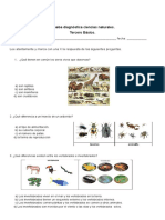 Prueba Diagnostico Ciencias Naturales 3ro