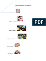 Caracterización de Las Etapas de La Vida Humana