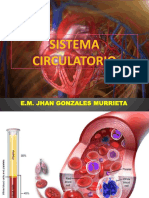 04 Sistema Circulatorio