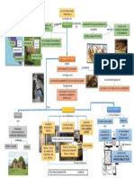 Mapa Mental Chavin