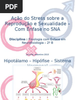Stress Sexualidade 01