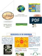 Resiliencia en Mi Comunidad