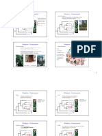 Gymnosperms PDF