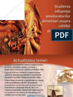 Proiect Amelioratori Piine