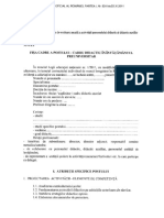 Fisa de Post Cadre Didactice