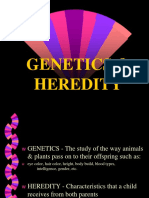 genetics heredity- cell division