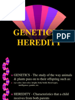 Genetics Heredity - Cell Division