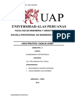 Bustamante, Castro Estefania-Cheje Mamani Luis - Caso-Cazalis Leger