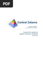 Normas Básicas de Control Interno NOBACI | PDF | Regulación | Política