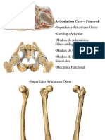  Articulacion delacadera conradiologia y perthes