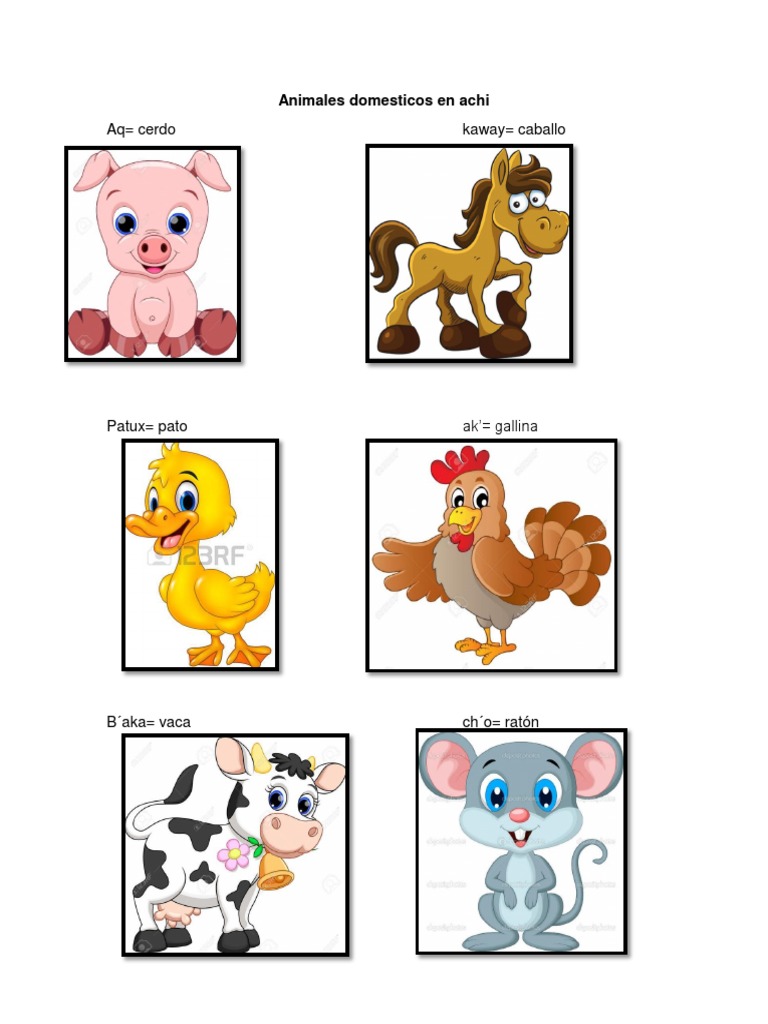 Animales Domesticos y Salvajes en Achi