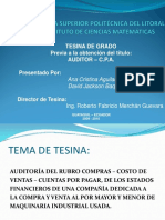 Diaspositivas de Presentación de Tesina de Auditoria Financiera Para Auditor - CPA