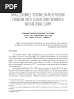 v17n3a08.pdf