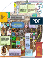 Improved Soil Food Web: Photosynthesis