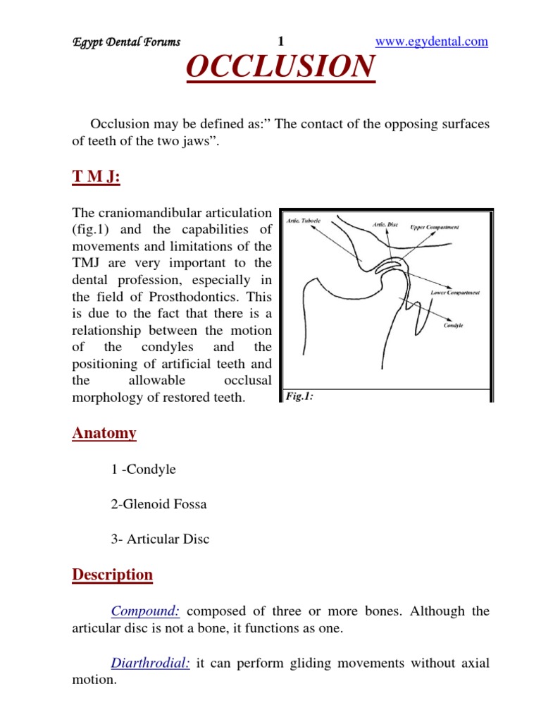 Occlusion Textbook PDF Human Anatomy Mouth