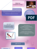 Derecho Constitucional