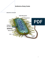 Antibiotics Study Guide 2017