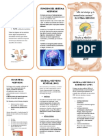 Triptico Del Sistema Nervioso