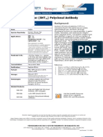 Serotonin Receptor (5HT) Polyclonal Antibody: Product Specifications