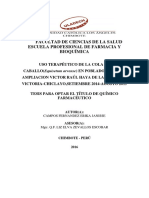 Uso de Productos Terapeuticos Naturales Cola de Caballo Equisetum Arvense Campos Fernandez Erika Janisse