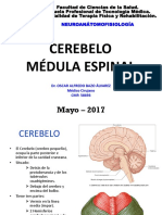 Neuroanátomofisiología - Clase Cerebelo y Médula