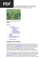 A história do vinho tem grande importância histórica