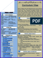 CV Aulia PDF