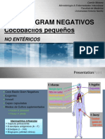 Clase 12. Cocobacilos Gram Negativos PDF