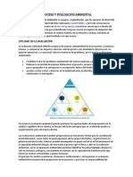 Proceso y Evaluacion Ambiental